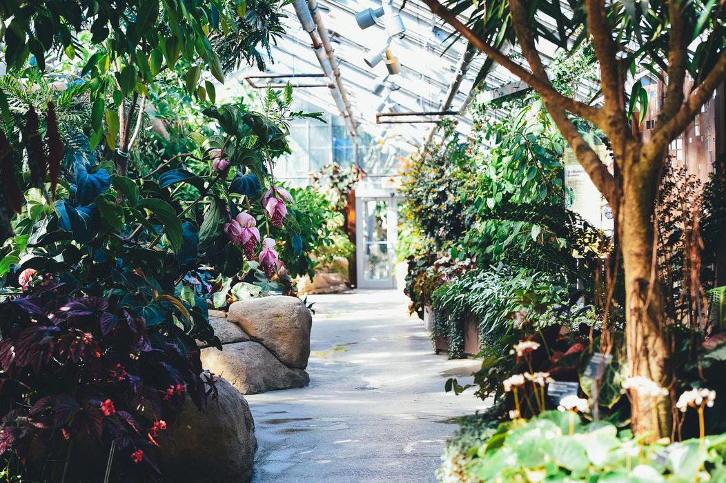 Une serre du jardin botanique de Montréal, que j'ai eu la chance de visiter